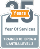 Ultimate Pest Control Dublin 25 Years of Service