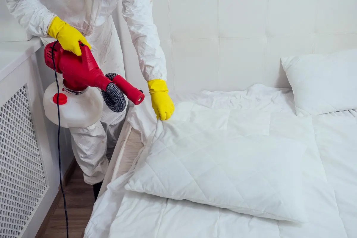 What Are The Most Effective Bed Bug Treatments?